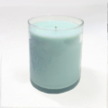 JasminePikakiSoyCandle11oz